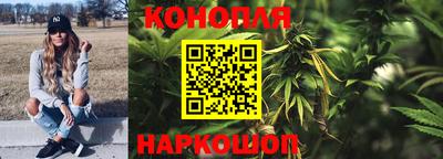 винт Гай