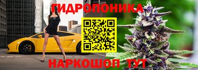 a pvp Гагарин