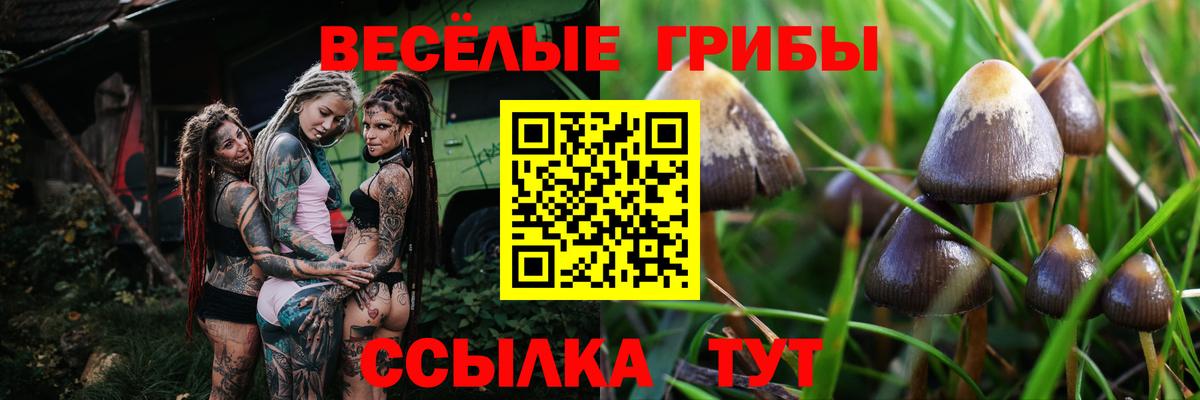Псилоцибиновые грибы мицелий  Вход с VPN  Междуреченск 