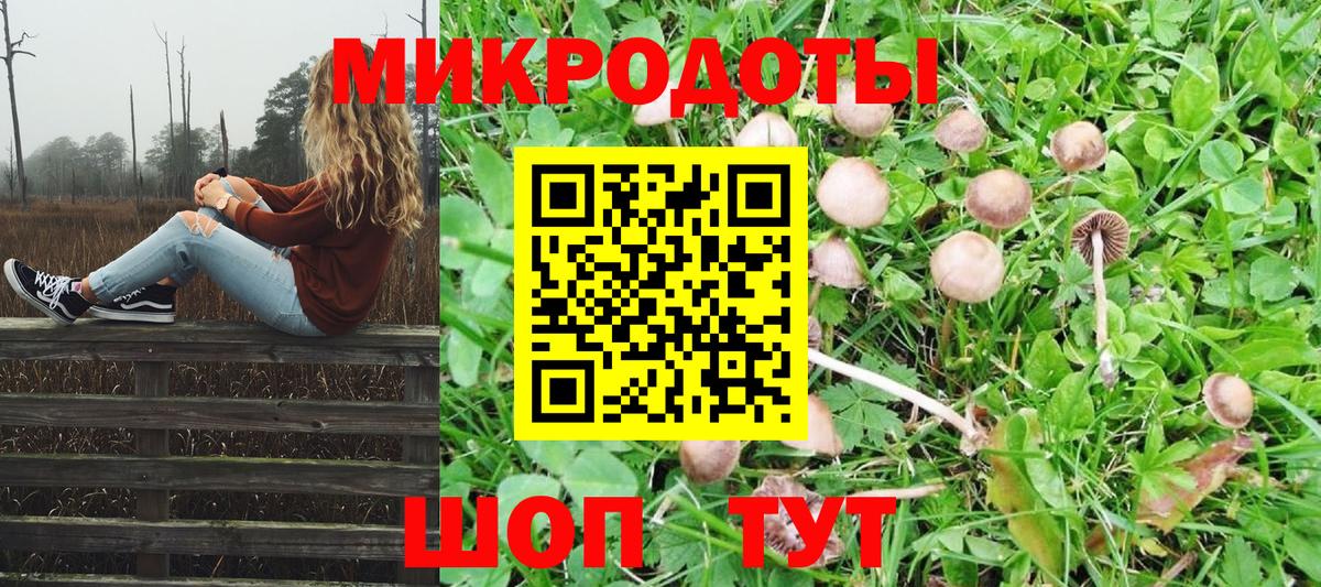Псилоцибиновые грибы Cubensis Междуреченск
